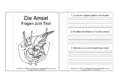 Mini-Buch-Amsel-Fragen-zum-Text.pdf